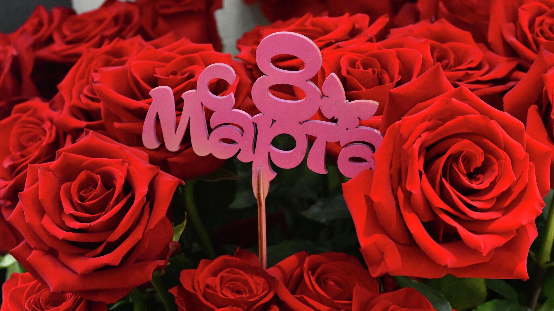 %d0%bf%d0%be%d0%b7%d0%b4%d1%80%d0%b0%d0%b2%d0%bb%d0%b5%d0%bd%d0%b8%d0%b5-%d1%81-%d0%bc%d0%b5%d0%b6%d0%b4%d1%83%d0%bd%d0%b0%d1%80%d0%be%d0%b4%d0%bd%d1%8b%d0%bc-%d0%b6%d0%b5%d0%bd%d1%81%d0%ba%d0%b8-4
